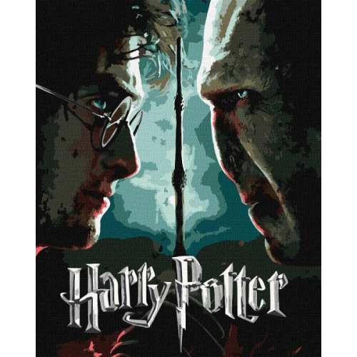 Картина за номерами - Harry Potter: Гаррі та Волдеморт з фарбами металік extra ©Warner Bros.