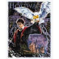Картина за номерами - Harry Potter: Атмосфера магії ©Warner Bros.