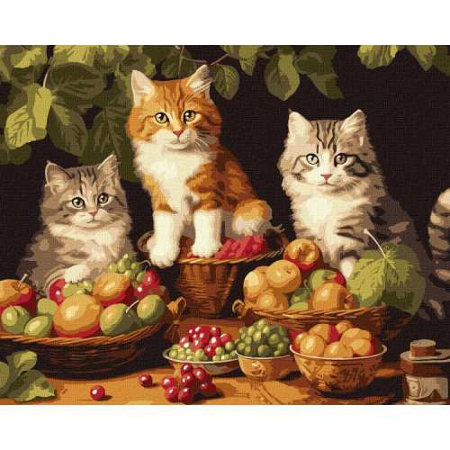 Картина за номерами - Котики і фрукти ©art_selena_ua