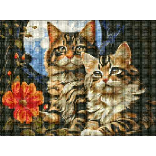 Алмазна мозаїка без підрамника - Чарівні котики ©art_selena_ua
