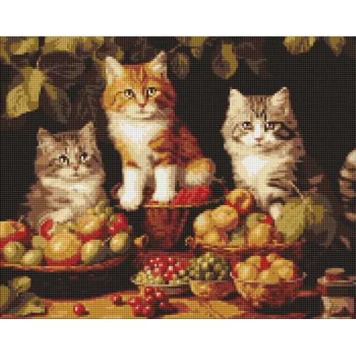 Алмазна мозаїка - Котики і фрукти ©art_selena_ua