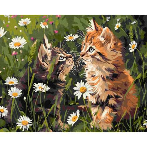 Картина за номерами - Котики у квітах ©art_selena_ua
