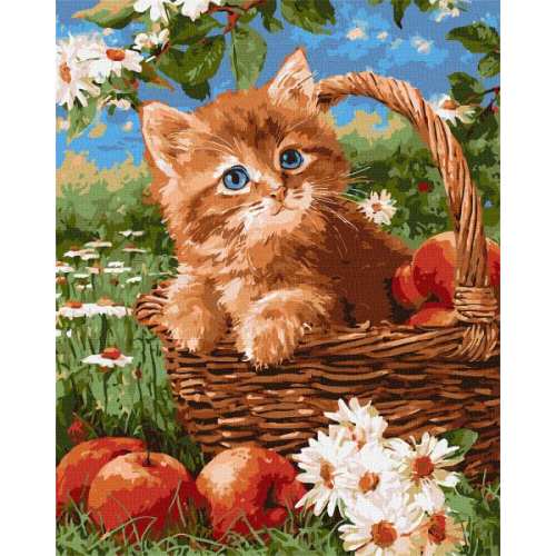 Картина за номерами - Руде кошеня та яблука ©art_selena_ua