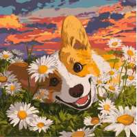 Картина за номерами - Коргі в ромашках ©art_selena_ua