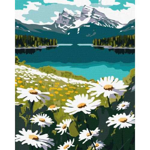 Картина за номерами - Квітучі ромашки ©art_selena_ua