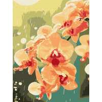 Картина за номерами - Орхідея в краплях ©art_selena_ua