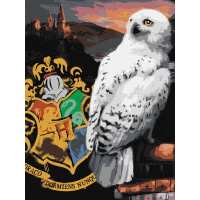 Картина за номерами - Harry Potter: Гедвіґа та Гоґвортс ©Warner Bros.