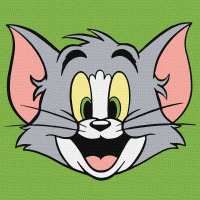 Картина за номерами - Tom and Jerry: Веселий Том ©Warner Bros.