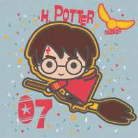 Картина за номерами - Harry Potter: Політ на мітлі ©Warner Bros.