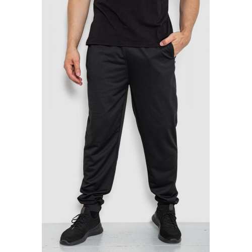 Спортивные штаны мужские, цвет черный, 244R41512 Спортивные штаны мужские, цвет черный, 244R41512