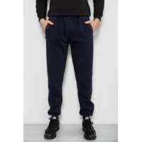 Спортивные штаны мужские на флисе, цвет синий, 244R41748