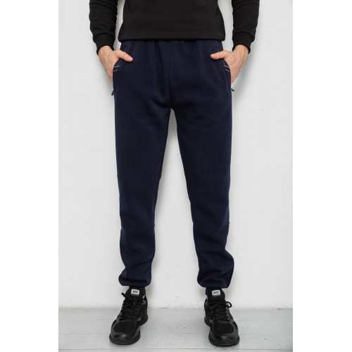 Спортивные штаны мужские на флисе, цвет синий, 244R41748