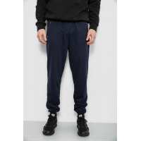 Спортивные штаны мужские, цвет синий, 244R434