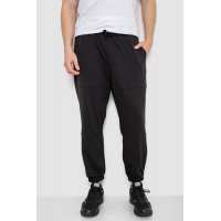 Спортивные мужские штаны демисезонные, цвет черный, 241R001-1