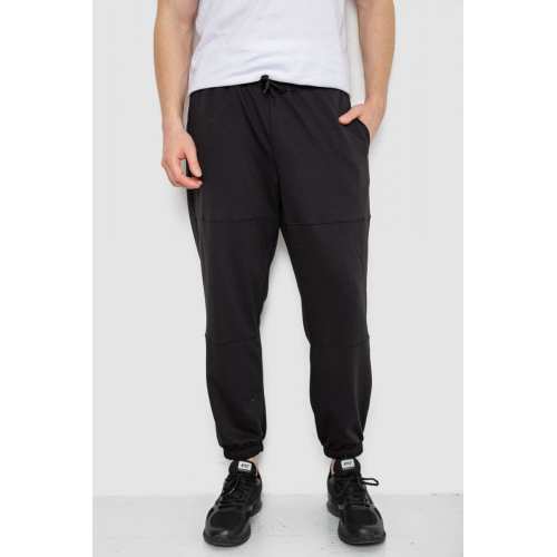 Спортивные мужские штаны демисезонные, цвет черный, 241R001-1