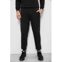 Спортивные штаны мужские на флисе, цвет черный, 244R6120