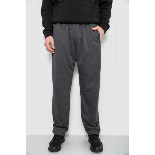 Спортивные штаны мужские, цвет серый, 244R41399 Спортивные штаны мужские, цвет серый, 244R41399