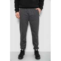 Спортивные штаны мужские, цвет серый, 244R429