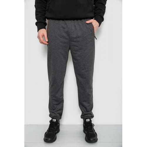 Спортивные штаны мужские, цвет серый, 244R429