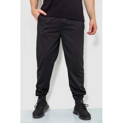 Спортивные штаны мужские, цвет черный, 244R4779 Спортивные штаны мужские, цвет черный, 244R4779