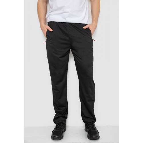 Спортивные штаны мужские, цвет черный, 244R41734