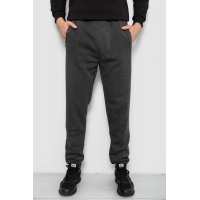 Спортивные штаны мужские на флисе, цвет серый, 244R41553