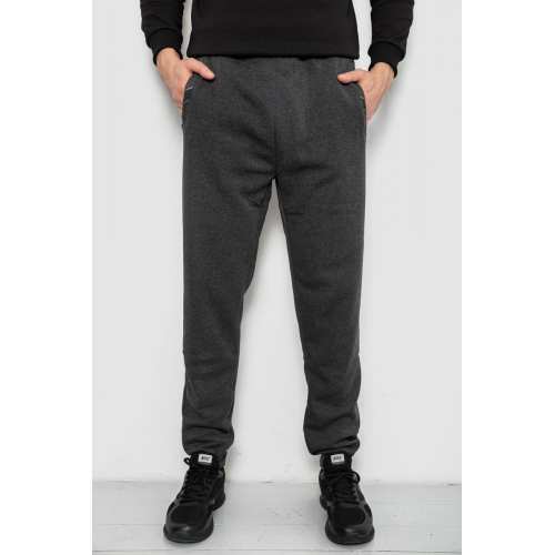 Спортивные штаны мужские на флисе, цвет серый, 244R41553