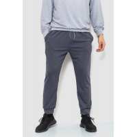 Спортивные штаны мужские двухнитка, цвет серый, 241R8005