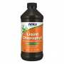 Chlorophyll Liquid Mint - 16 oz (Пошкоджена банка)