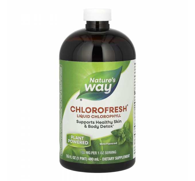 Chlorofresh Liquid - 16 oz Mint