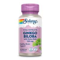 Ginkgo Biloba Extract One 120mg - 30 vcaps
