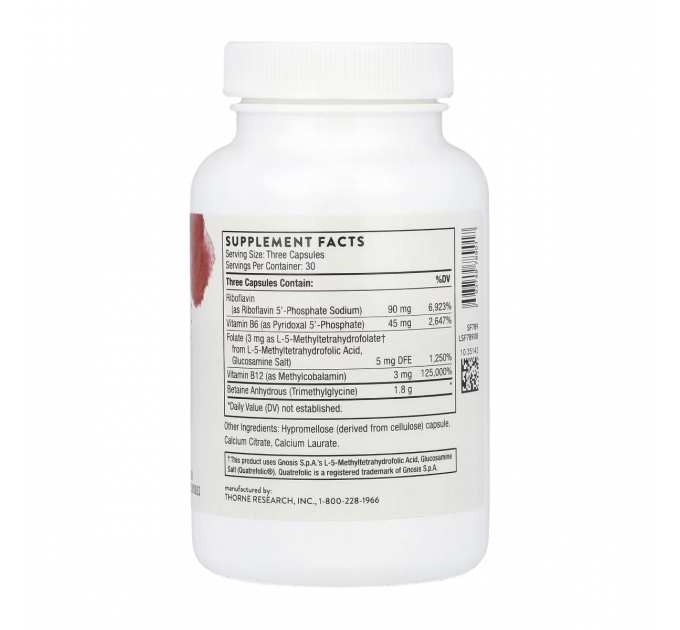 Methyl-Guard Plus - 90 caps