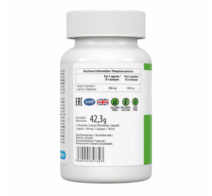 Acetyl-L-Carnitine - 60 caps