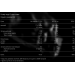 Gain Pro - 2700g Vanilla