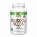Broccoli Seeds Sprouting - 113g