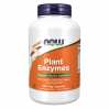 Plant Enzymes - 240 vcaps