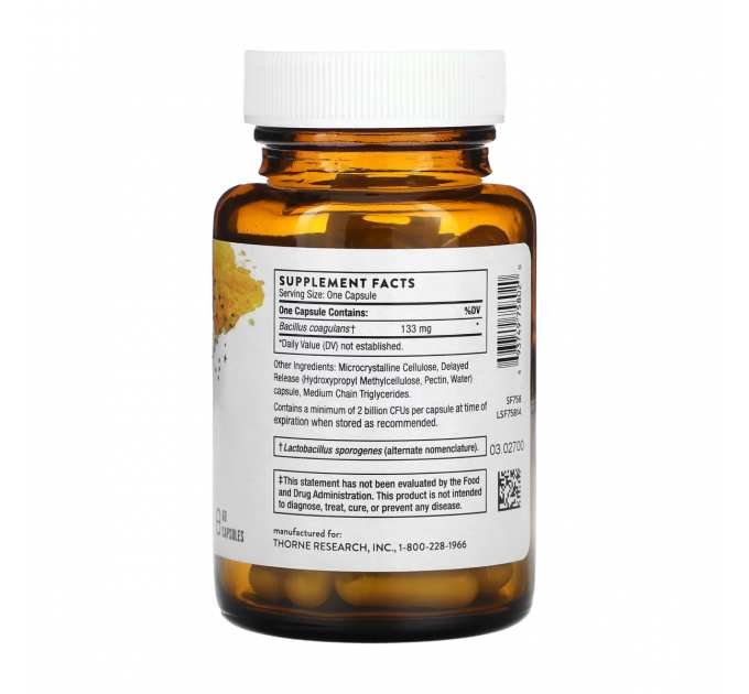 Bacillus Coagulans - 60 caps