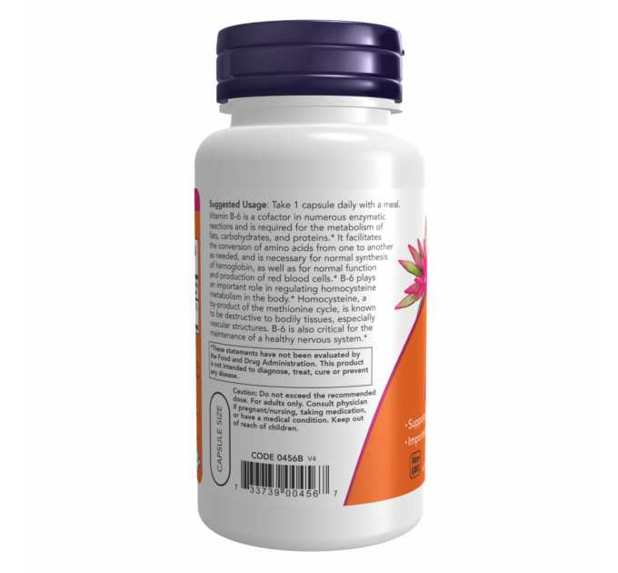 B-6 100mg - 250 vcaps