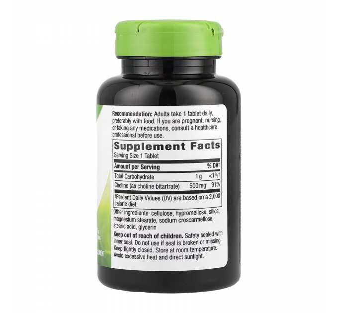 Choline 500 mg - 100 tabs