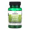 Rhodiola Rosea Extract - 60 caps