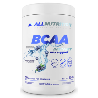 BCAA Max Support Instant - 500g Bllueberry (До 05.26)