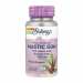 Mastic Gum Extract 500mg - 45 vcaps