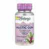 Mastic Gum Extract 500mg - 45 vcaps