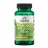 Probiotic+ Prebiotic Fiber 1 Billion Cfu - 60 vcaps