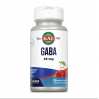 Gaba ActivMelt™ 25mg - 120 tabs