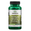 Ginkgo Biloba Extract - Standardized 60 mg - 120 Caps