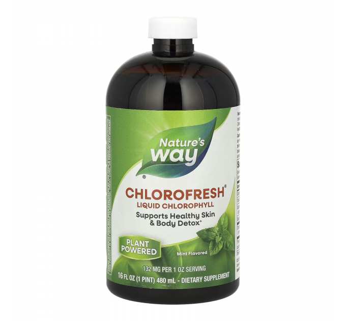 Chlorofresh® Liquid - 16 oz Mint