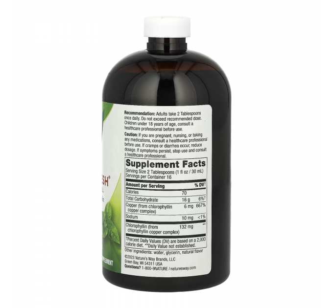Chlorofresh® Liquid - 16 oz Mint