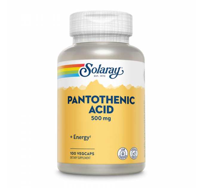 Pantothenic Acid 500mg - 100 veg caps