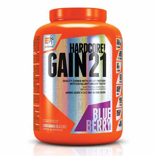 Hardcore Gain21 - 3000g Blueberry